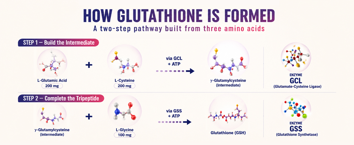 2400 mg Liposomal Glutathione, Pure Reduced L-Glutathione, 60 Softgels