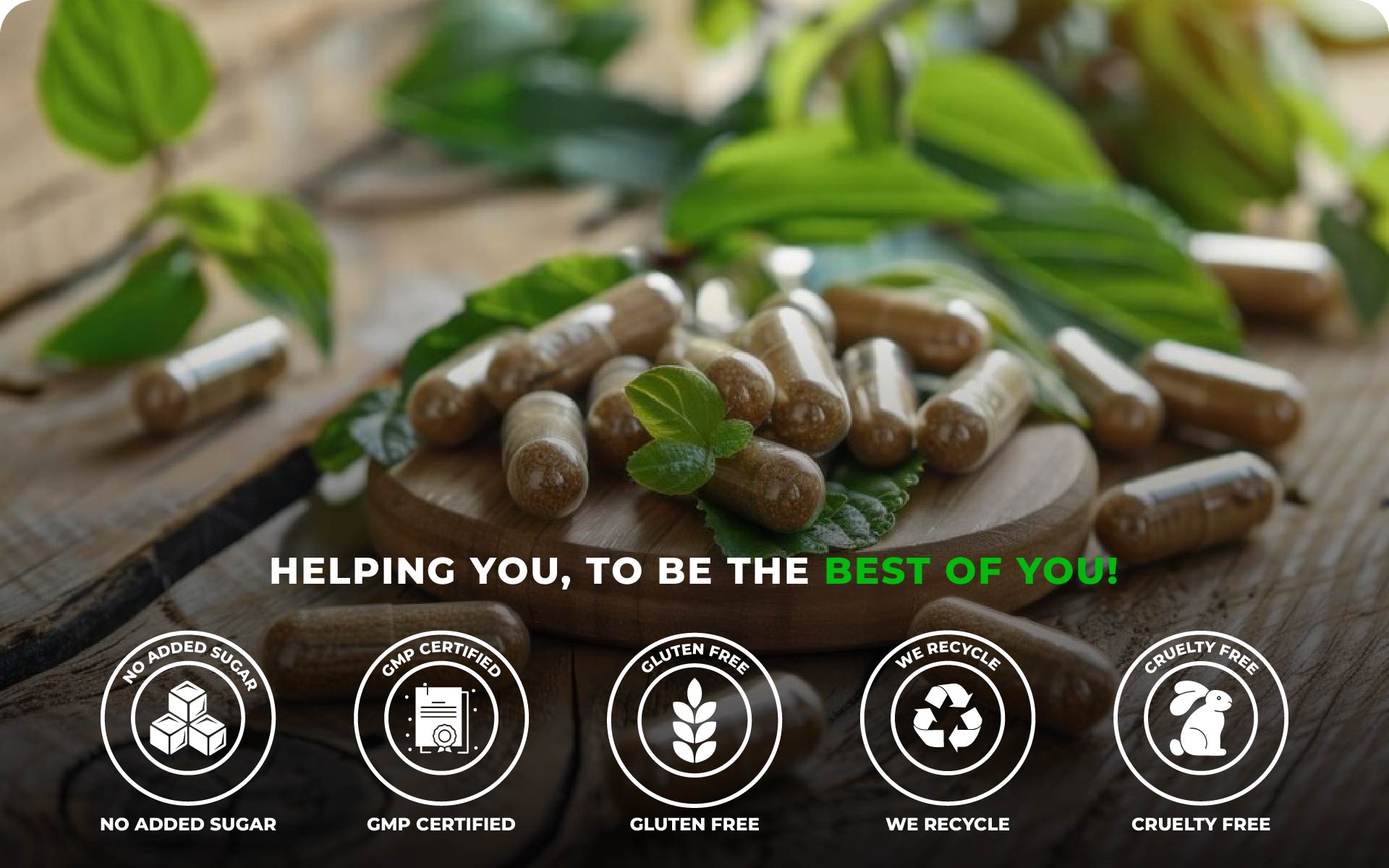 Humming Herbs Spermidine Trihydrochloride Supplement from Wheat Germ Extract | 10mg | Cellular Wellness, Vitality & Healthy Aging Support | 90 Veg Capsules