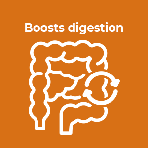 HealthAid Digeston (Papaya & Digestive Enzymes) – 60 Tablets | Natural Enzyme Formula | Supports Healthy Digestion, Nutrient Absorption & Stomach Comfort | With Papaya & Pineapple Extract