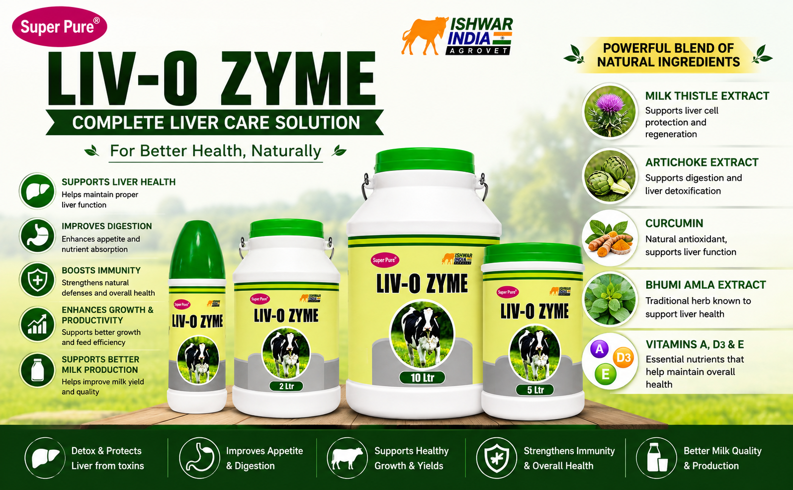 LIV-O Zyme | Liver Tonic & Digestive Supplement for Cows, Buffaloes, Goats & Sheep | Boosts Digestion & Immunity (1LTR)