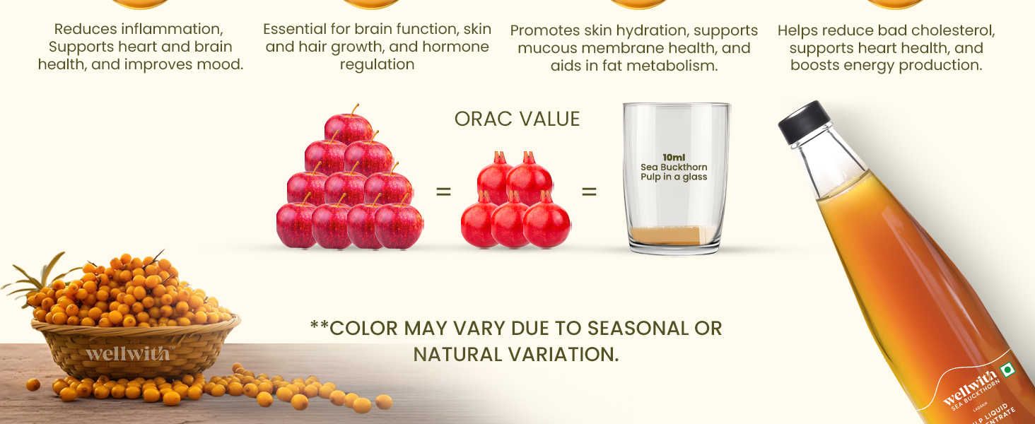 Wellwith by Ayuzera Himalayan Sea Buckthorn Berry Pulp 300ml | Plant Based Vegan Omega 3, 6, 7 & 9 | No Fish Oil | Natural & Organic | Upto 50 Glass Juice | Antioxidants & Vitamins (300ml, Pack Of 2)