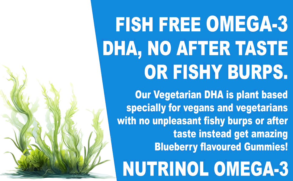 Knoll Healthcare Nutrinol Organics Vegan Omega-3 Flaxseed (145mg) Healthy Bones, Hair & Skin Glwing Skin Joint Strong Hair Veg Soft Gummies for Women & Men (Blueberry Flavour) 30 Gummies