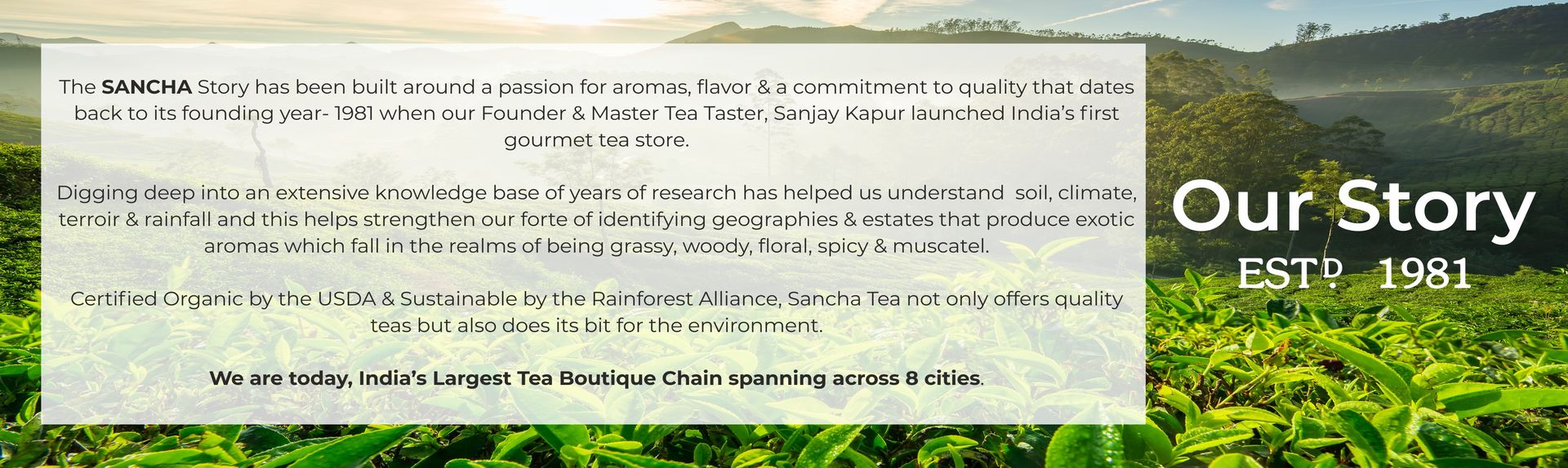 Sancha Tea Boutique, Jasmine Pu-erh Tea, 25 Pyramid Bags | Aged Chinese Pu-erh with Jasmine Flowers | Earthy, Malty & Floral Notes | Premium Fermented Blend