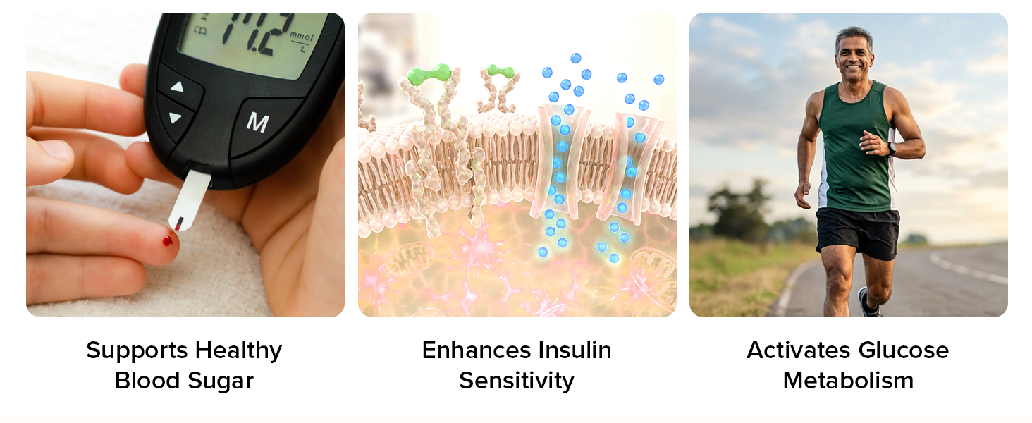 VAHDAM Berberine Capsules | Metabolism, Insulin, Blood Sugar Support | 60 N
