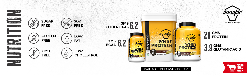 avvatar WHEY PROTEIN | 1Kg | Malai Kulfi Flavour | 28g Protein | 29 Servings | Isolate & Concentrate Blend
