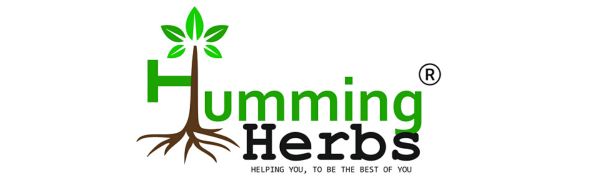 Humming Herbs Reishi Mushroom supplement Reishi, Chaga, Turkey Tail, Maitake, Shiitake, Enoki, and Agaricus| 7in1 Immune Support Formula, 5480mg eqv - 90 cap