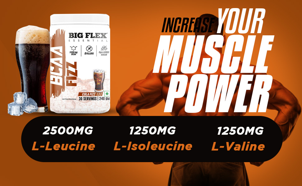 Bigflex Essential BCAA powder, Watermelon [ 30 Servings, Pack of 240Gm ] | 2500mg L-Leucine | 1250mg L-Isoleucine & 1250mg L-Valine For Muscle Recovery & Endurance - Pre/Post Workout & Intra Workout Supplement