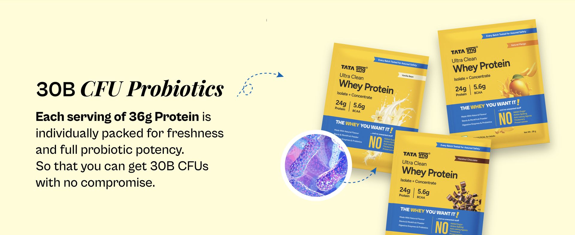 Tata 1mg Whey Protein | Mango | 24g protein | 1kg