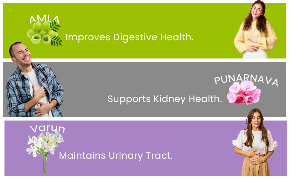 Jeena Sikho HIIMS Kidney Shuddhi Ark Ayurvedic Tonic For Kidney Detox Herbal For Kidney Cleanse Sugar-Free, 500ml