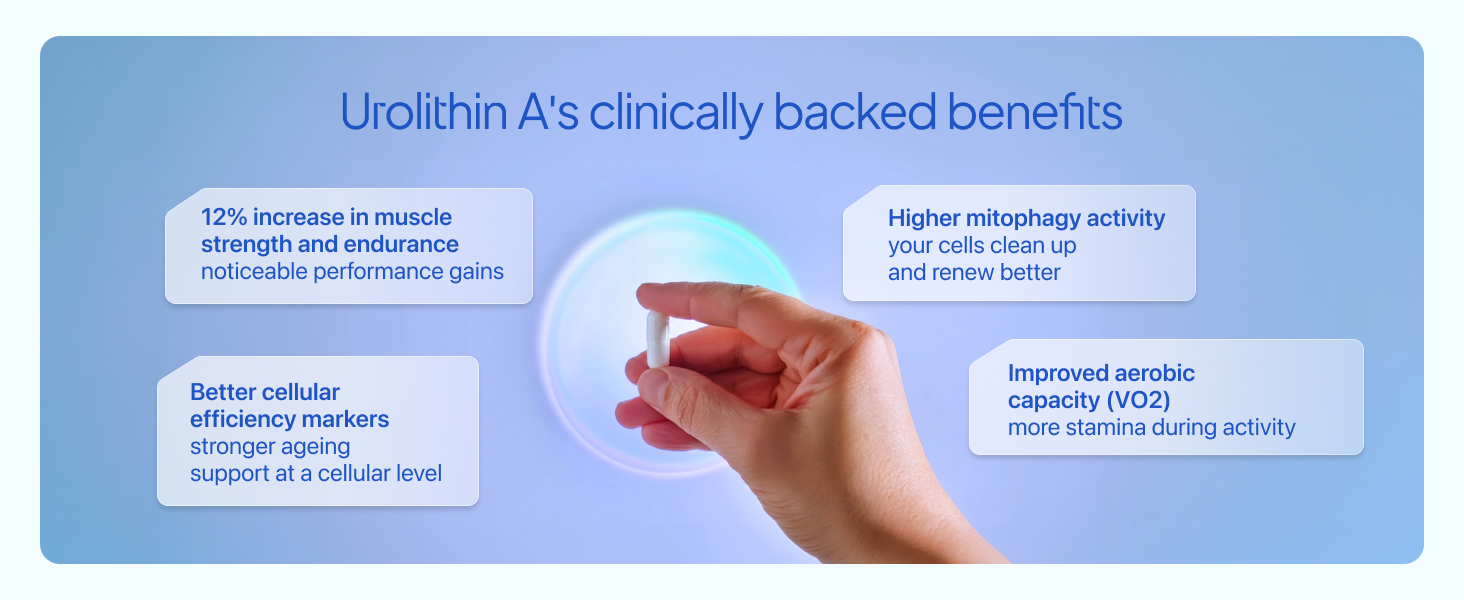 Decode Age Urolithin A 500 mg | Clinically Studied Longevity Supplement for Strength, Endurance & Cellular Renewal | Non-GMO | Urolithin A Supplement for Men and Women