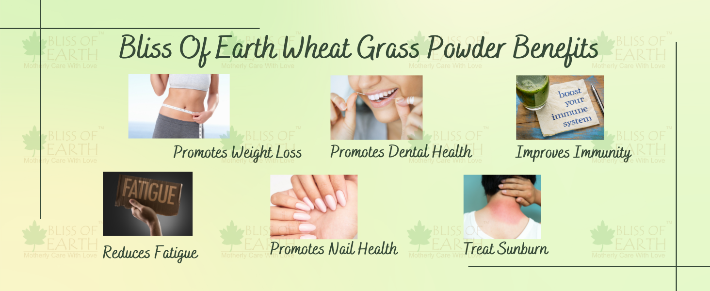 Bliss of Earth Organic Wheatgrass Powder Super Food Dietary Supplement 3X 250 gm