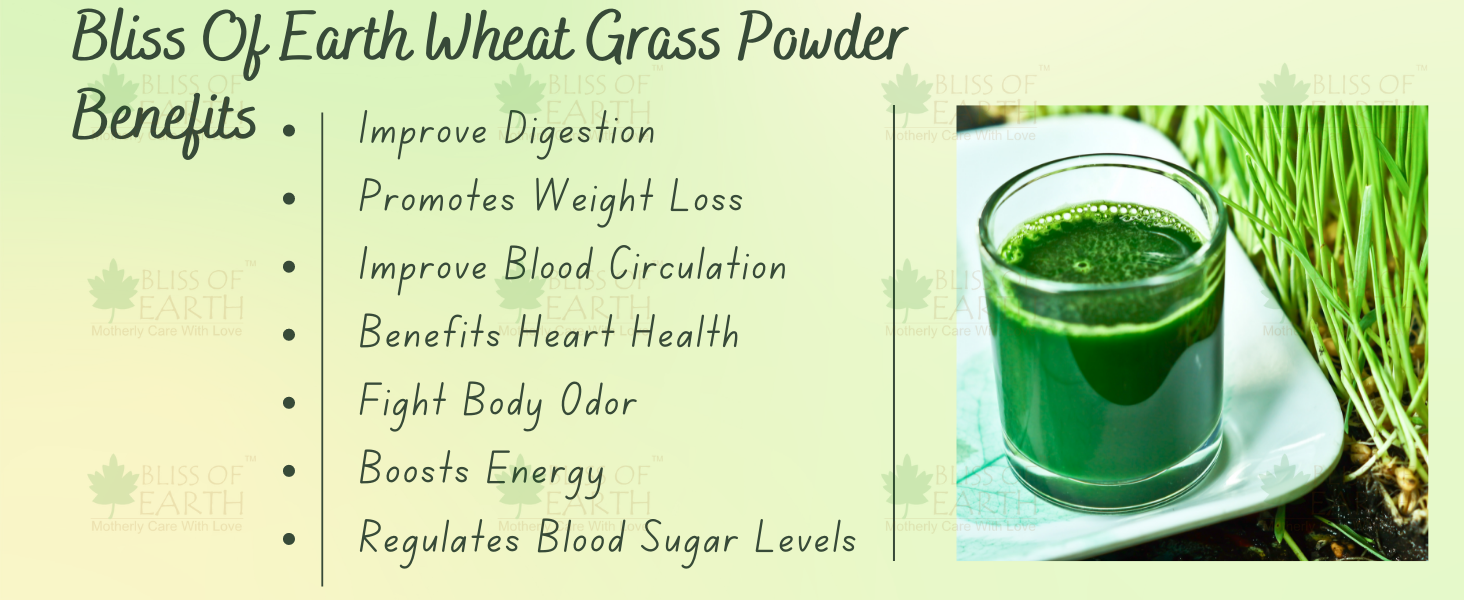 Bliss of Earth Organic Wheatgrass Powder Super Food Dietary Supplement 3X 250 gm