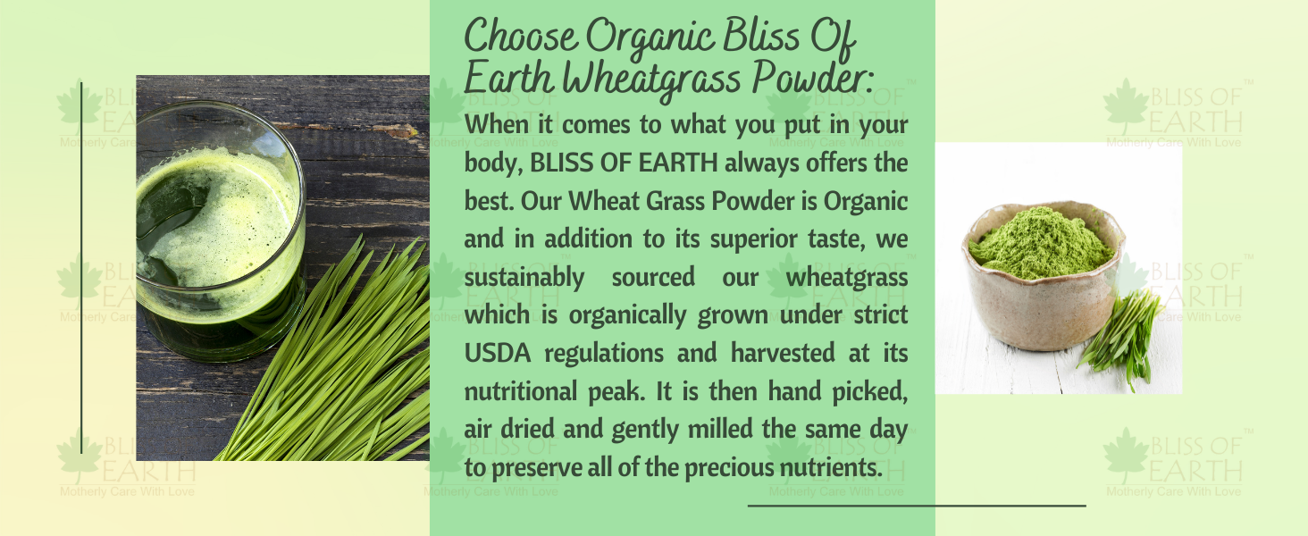 Bliss of Earth Organic Wheatgrass Powder Super Food Dietary Supplement 3X 250 gm