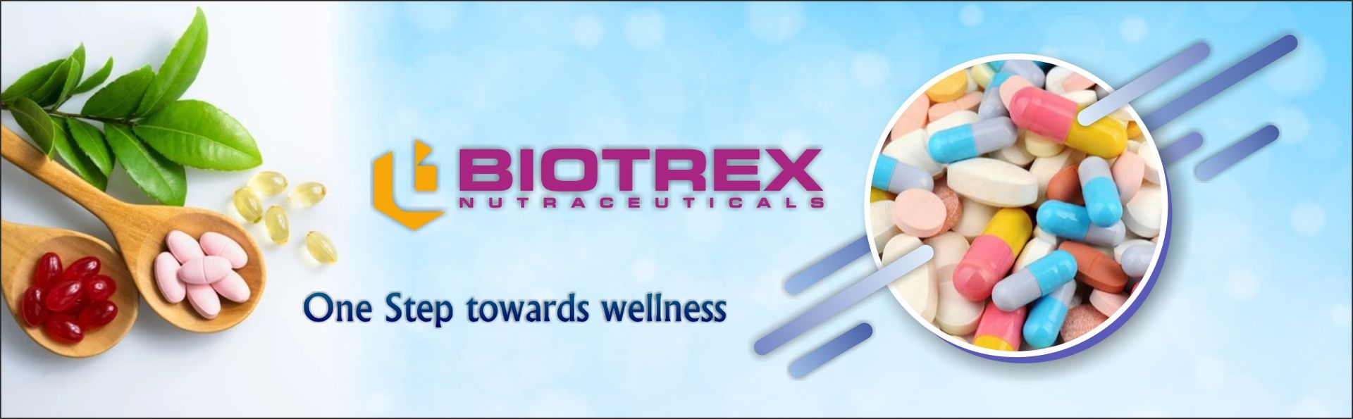Biotrex Nutraceuticals Black Cohosh (10:1) 500mg | Supports Mood Balance & Hot Flashes | Overall Wellbeing & Bone Health | Non-GMO & Gluten Free | 60 Veg Capsule