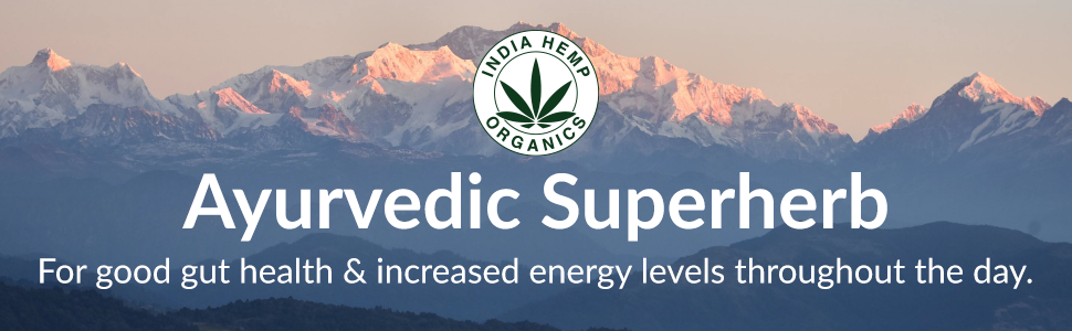 India Hemp Organics | Hemp Protein Powder 100% Raw & Pure | 100g | Ayurvedic Superplant Nutrition | Build Lean Muscle | Gut Friendly