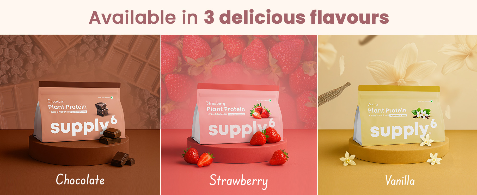 Supply6 Plant Protein | 24g Vegan Protein with Probiotics & Fibre | Complete Amino Acids | Gut-Friendly, Zero Sugar, No Chalkiness | Delicious Taste (1000g, Chocolate)