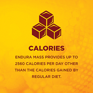 Endura Mass Weight Gainer (Vanilla, 500g)