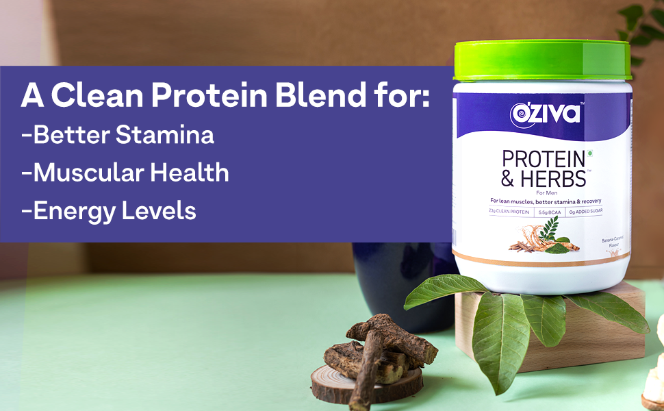 OZiva Protein & Herbs for Men (Chocolate) I Muscle Building, Stamina & Recovery | Clean Protein, Shatavari, Green Tea I No Added Sugar, 2lbs
