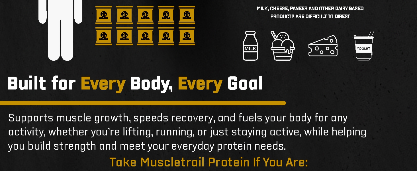 MuscleTrail Gold Standard Series, 60 Pouches, Low Carb & Fat, 24G Natural Whey Protein Powder, Shaker Inside (1.86Kg, dutch chocolate)