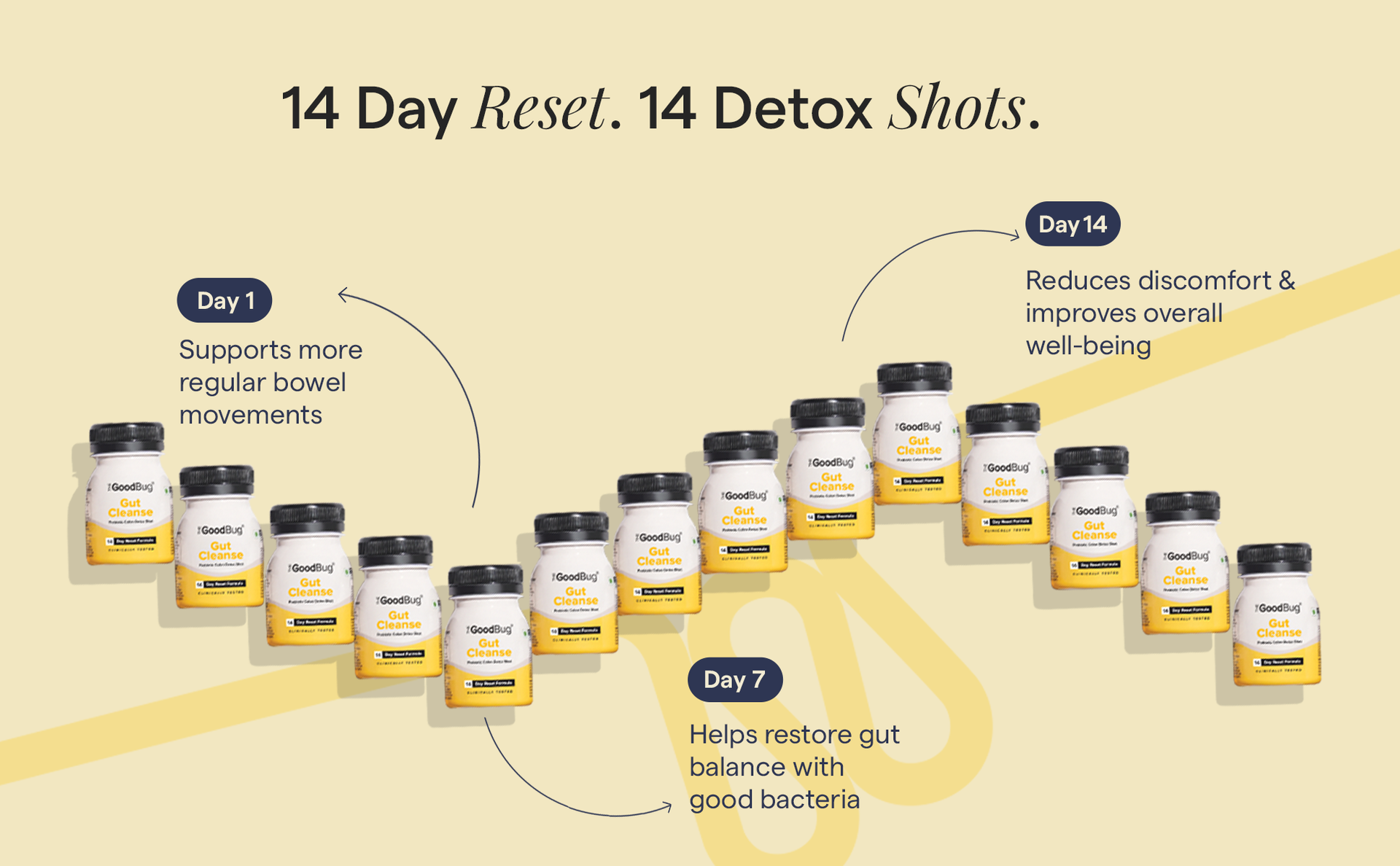 The Good Bug Gut Cleanse - 28 Prebiotic Colon Detox Shots | Improves Probiotic Activity, Gut Health & Digestion | Tackles Bloating, Gas & Constipation