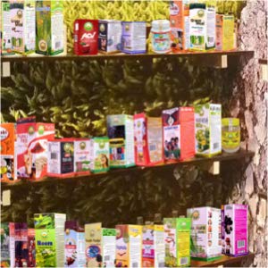 Basic Ayurveda Durva (Dhurva Grass) Juice 450ml Pack of 2 | Pure Ayurvedic Drink | Supports Skin Health & Daily Wellness