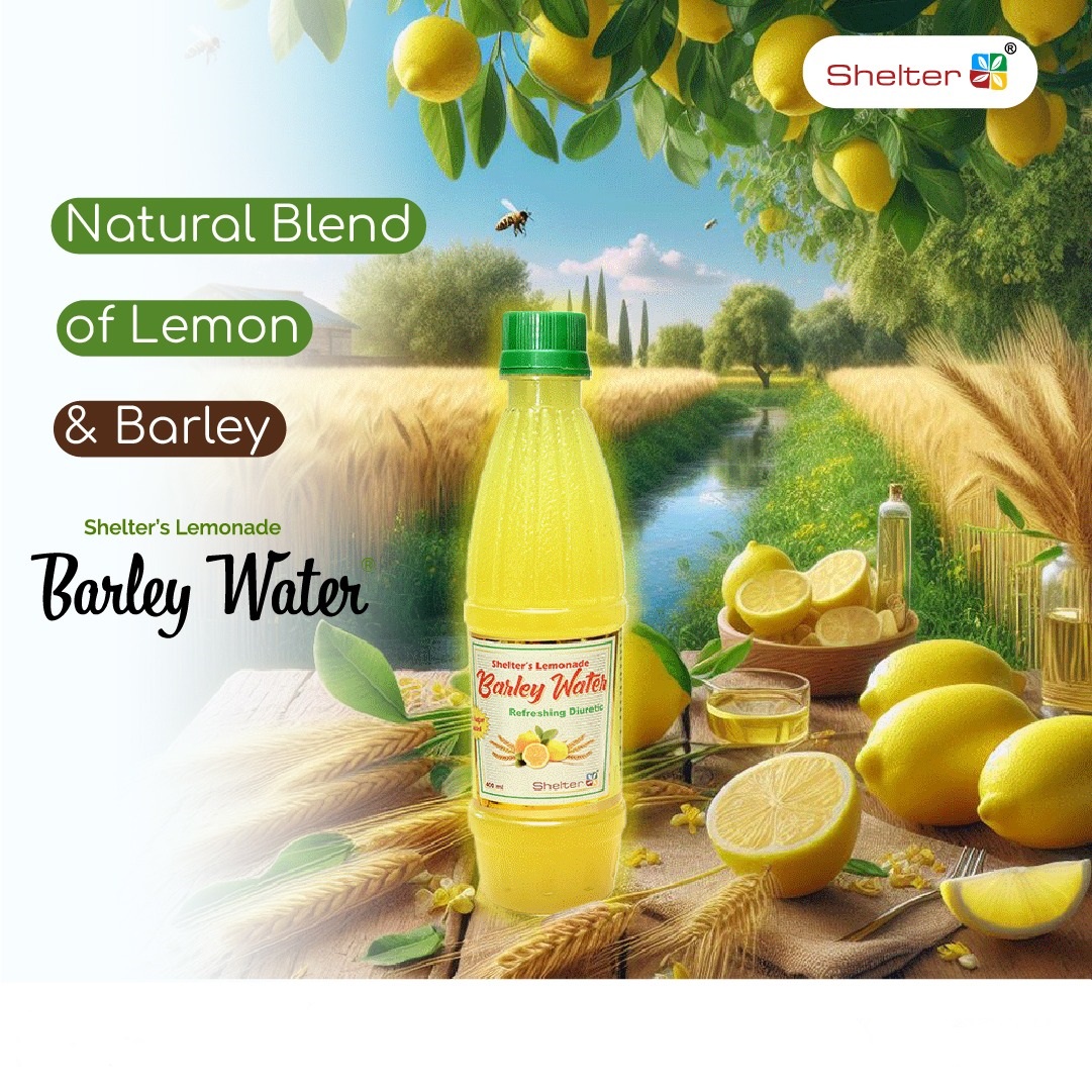 Lemonade Barley Water Ayurvedic Drink for Kidney & Urinary Stone Care | Helps Dissolve & Clean Kidney Stone (PACK OF 2)
