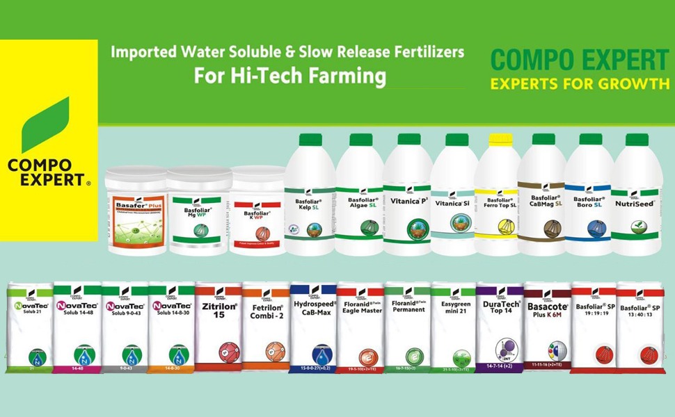 Compo Expert Fetrilon Combi 2 Fully Chelated Cu, Fe, Mn, Zn Multi Micronutrient Mixture, 100g