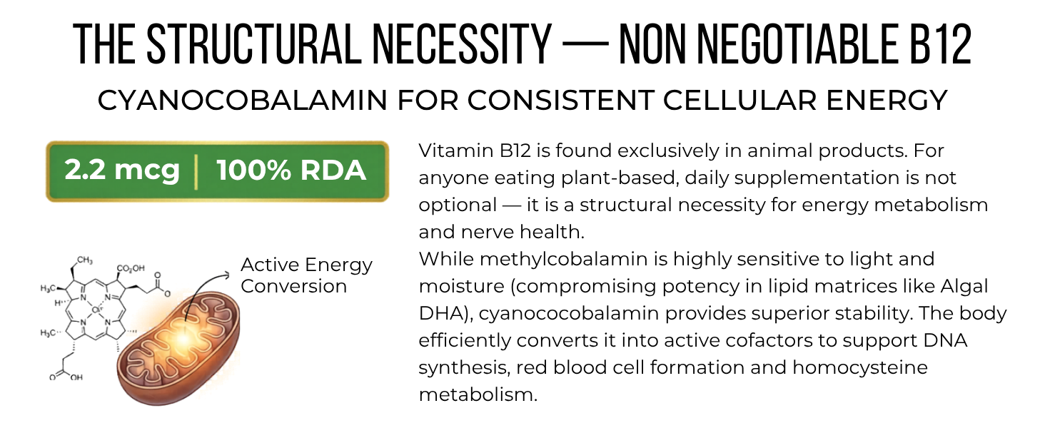 Vegan D3 K2 B12 & Omega 3 DHA Tablets | 4-in-1 Daily Essential Supplement | Bone, Brain, Heart & Energy Support | D3 (Lichen) + K2 MK-7 (Natto) + B12 + 250mg Algal DHA | 120 Veg Tablets (120 Days)