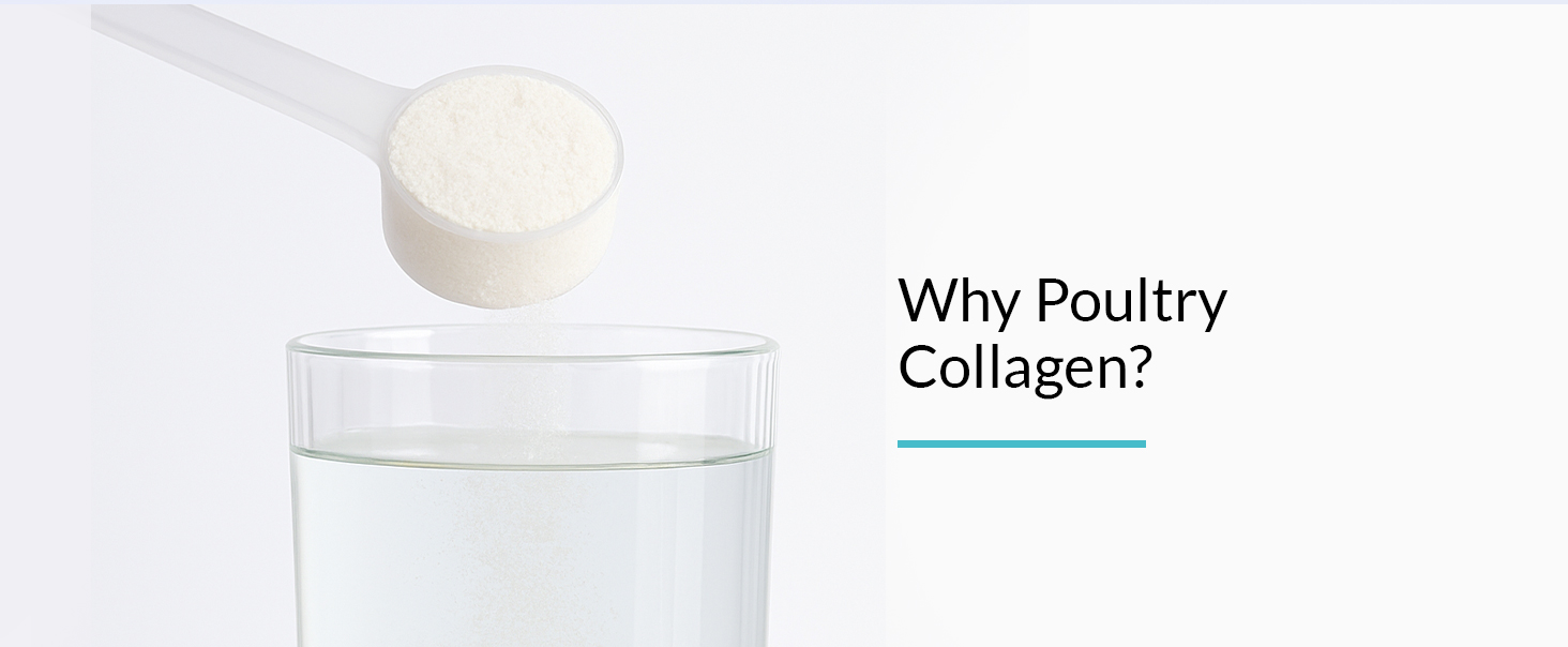 NUTROVA Poultry Collagen Peptides for Unisex,India's First Poultry Collagen Peptide,For Healthy Skin & Hair,Nails,Bones - Anti-Aging Supplement - Easy to Mix Powder(306 grams)