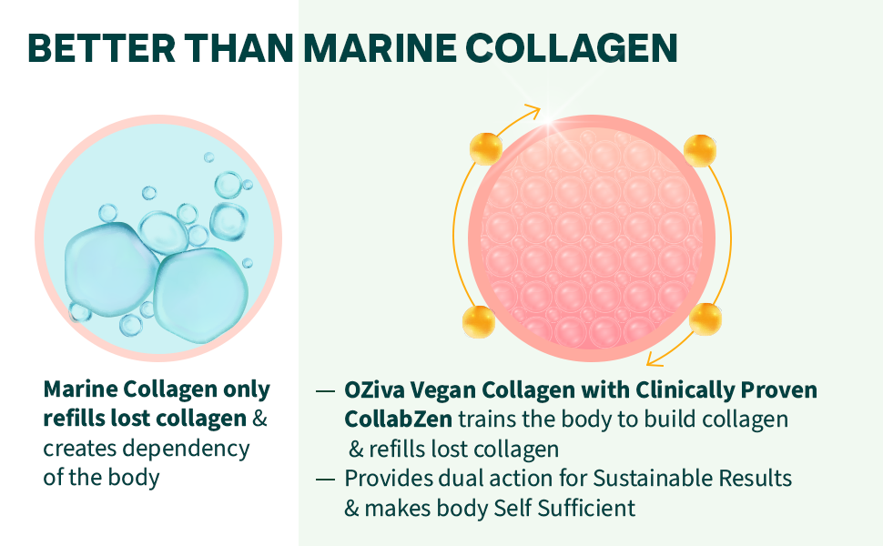 OZiva Plant Based Collagen Builder for Glowing & Youthful Skin | Collagen Powder for Women & Men | With Biotin, Silica & Vitamin C (Collagen Berry Orange + Biotin Xtra)
