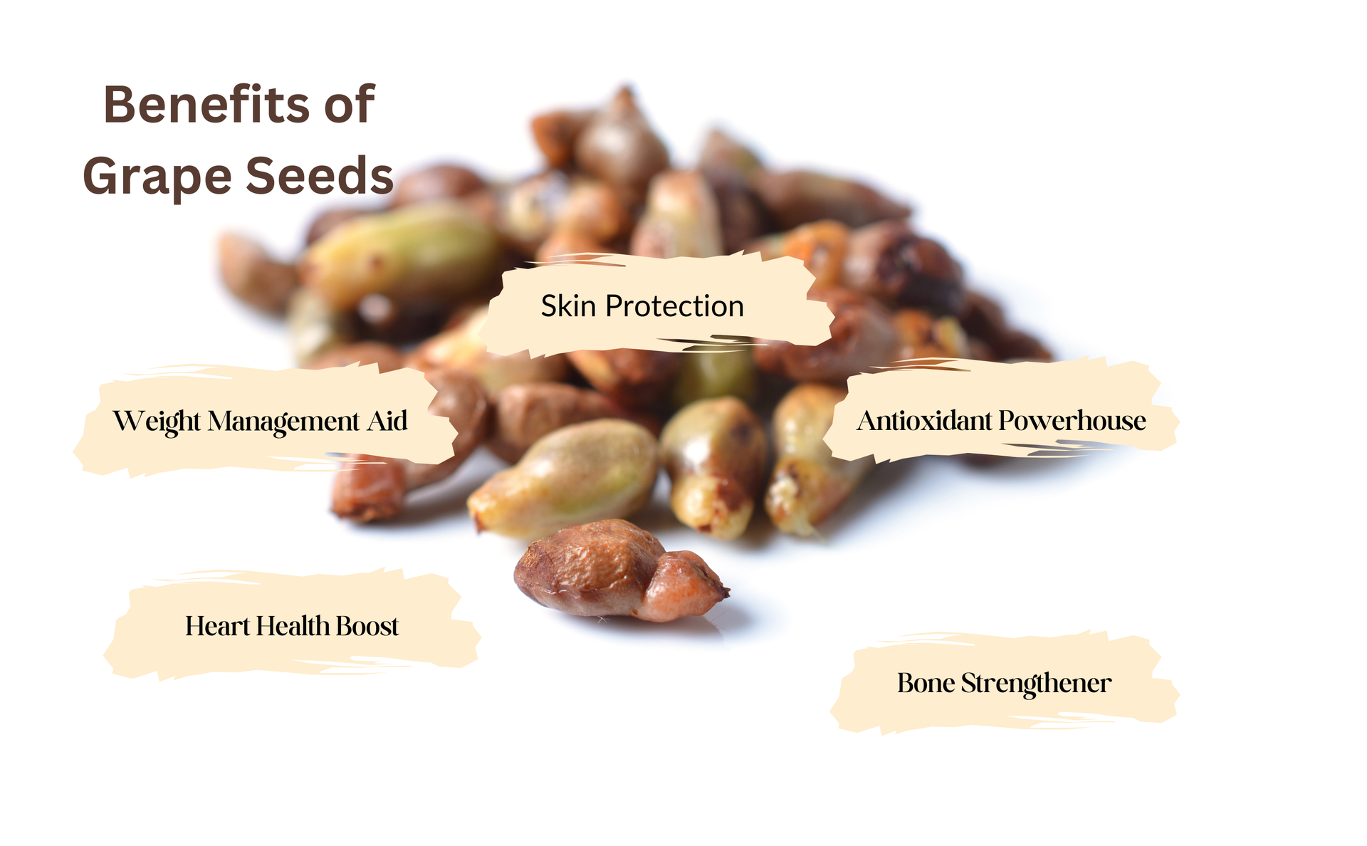 Parshwa Grape Seed Angur Beej angoor seed Grape Seeds- 800 Gm | Natural Antioxidant Boost for Skin and Health | Bulk pack for long usage | Pack of 1