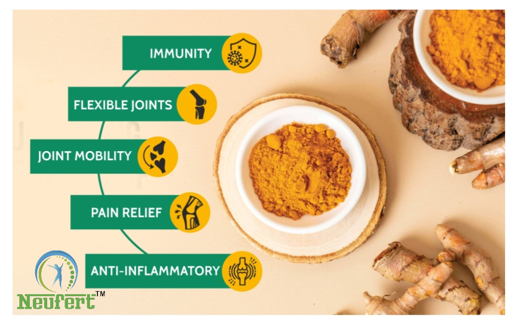 CURCUMINOID (Purified Turmeric Root Extract 500mg) Capsules (pack of 3)
