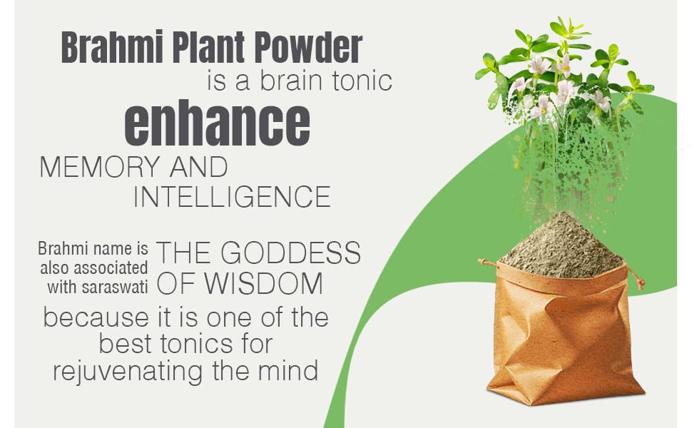 Brahmi Powder | for Memory & Brain Wellness Support - 200 Gm