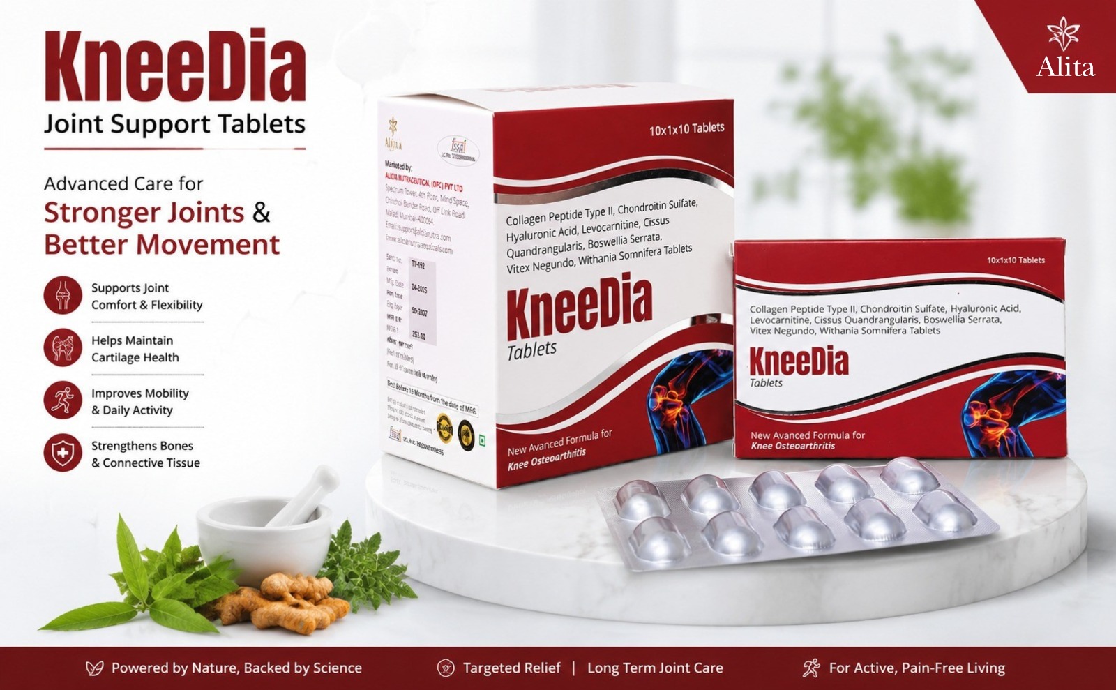 KNEEDIA Joint Support Tablets | Boswellia Glucosamine MSM Collagen Supplement, 10 Tablets