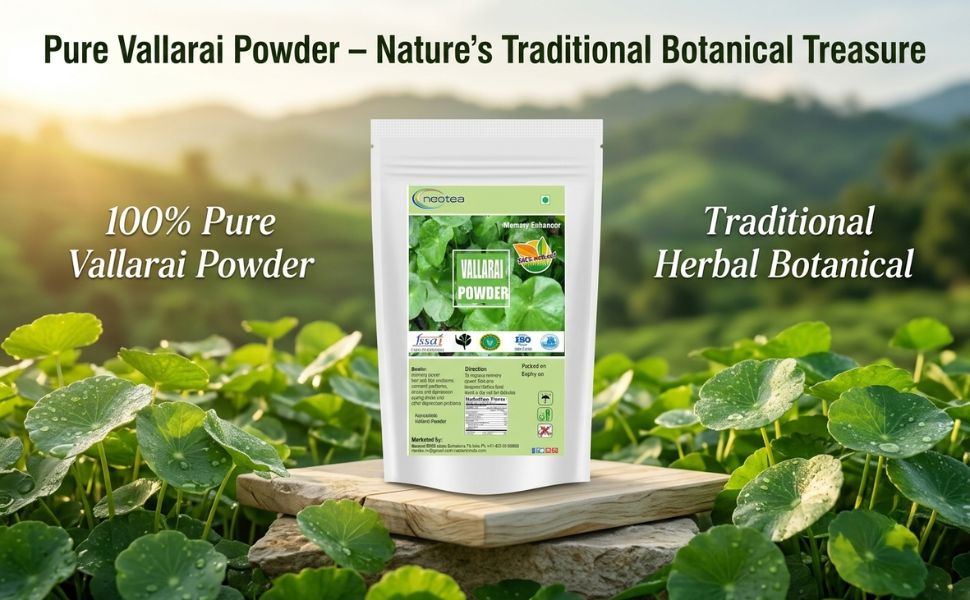Neotea Gotu Kola Powder | Vallarai | Centella Asiatica & Brahmi (Bacopa Monnieri) | Natural Pennywort Powder | Saraswati Keerai | Neer Brahmi Podi | Pure Herbs | Non-GMO | No Preservatives | Supports Cognitive & Skin Wellness | 1 KG