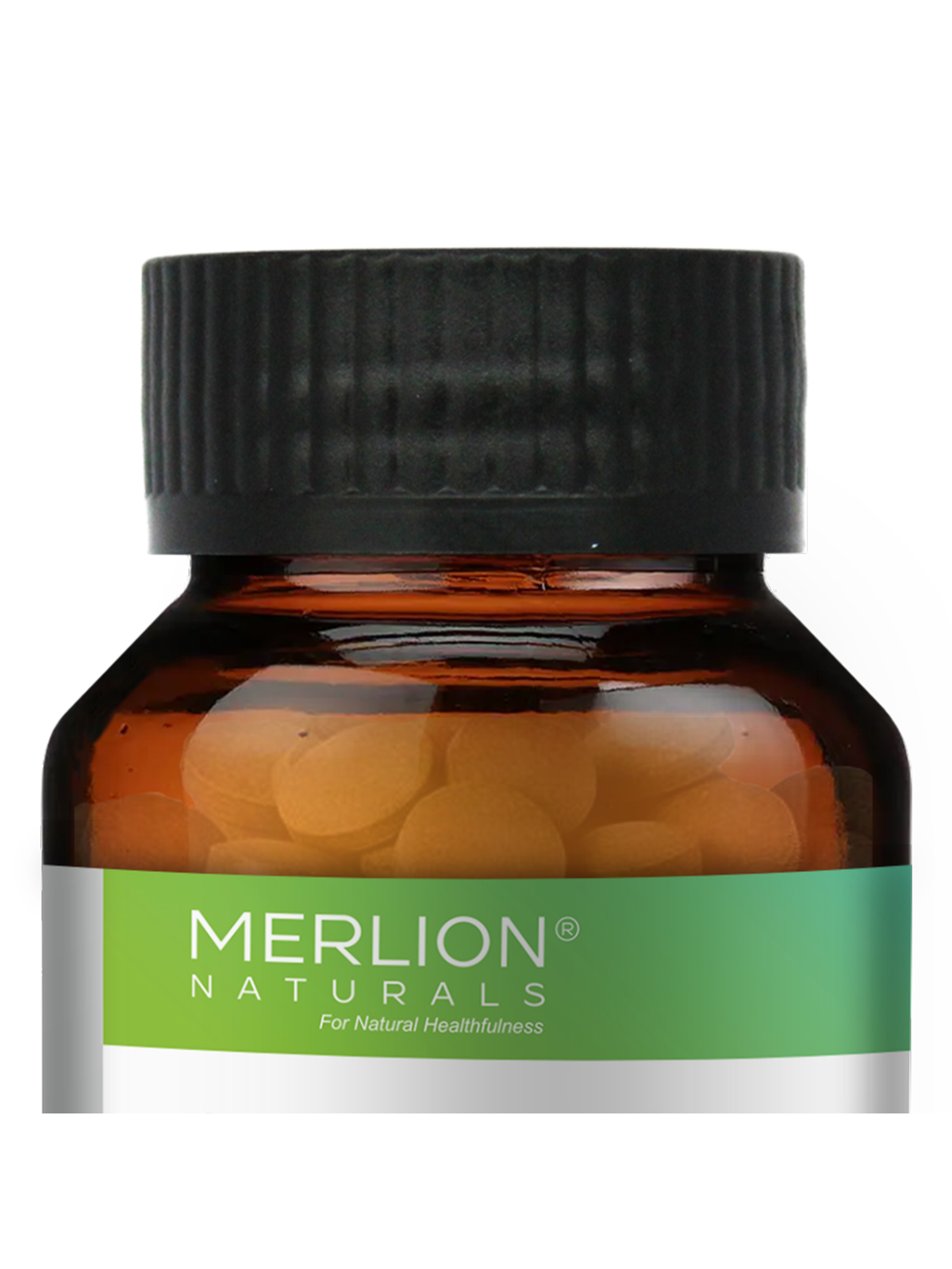 Merlion Naturals Garcinia Cambogia Tablets | Garcinia gummi-gutta | 500mg (120 Tablets)