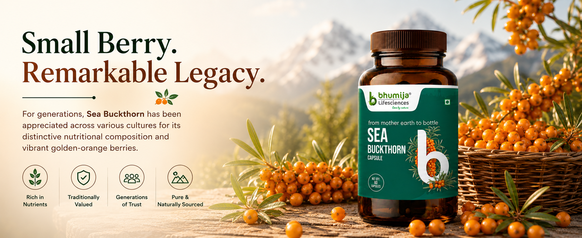 Bhumija Lifesciences Sea Buckthorn Capsules 500mg | 60 Veg Caps