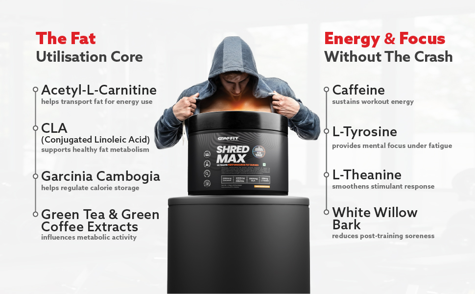 Shred Max Fat Burner – Ultimate Fat Loss Supplement for Men & Women| L-Carnitine, CLA, Green Tea & Caffeine | Zero Sugar, Low Calorie | 30 Servings, 210g | Tangy Orange Flavour