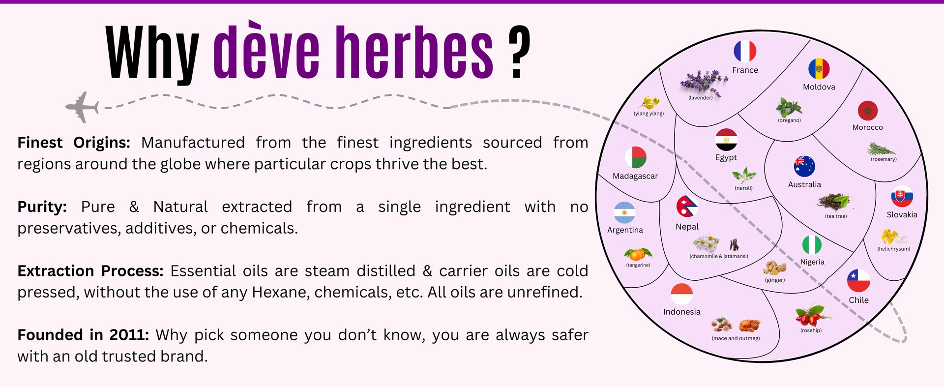 Deve Herbes Pure Flax Seed Oil (Linum usitatissimum) | Cold Pressed | Natural | Undiluted | For Diluting Essential Oils | For Skin & Massage | Men & Women | 300ml
