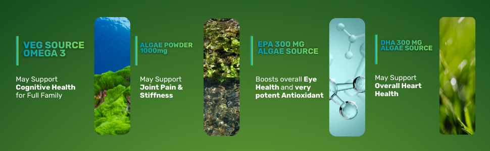 Algae-Rich Omega 3 Vegan Capsules | 300mg EPA & 100mg DHA | Plant Based Omega-3 | Supports Eye, Brain, Bone & Heart Health | 30 Capsules