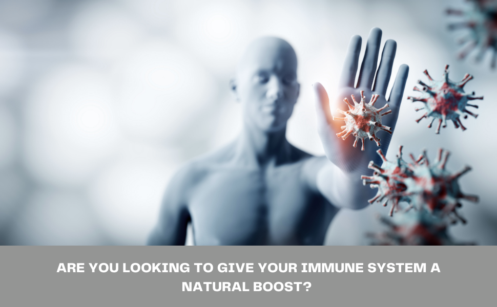 Healthy Nutrition - Just for the Health of it Immuno Boost Capsules Helps to Promote Healthy Immune | Antioxidant (60 Capsules)