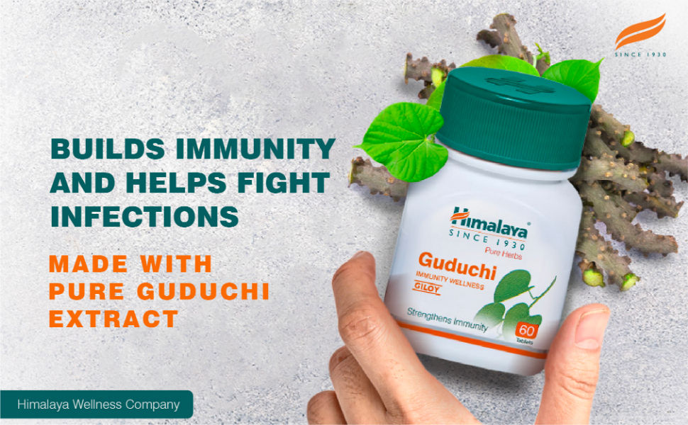 Himalaya Pure Herbs Guduchi Strengthens Immunity Wellness, Giloy, 60 Count