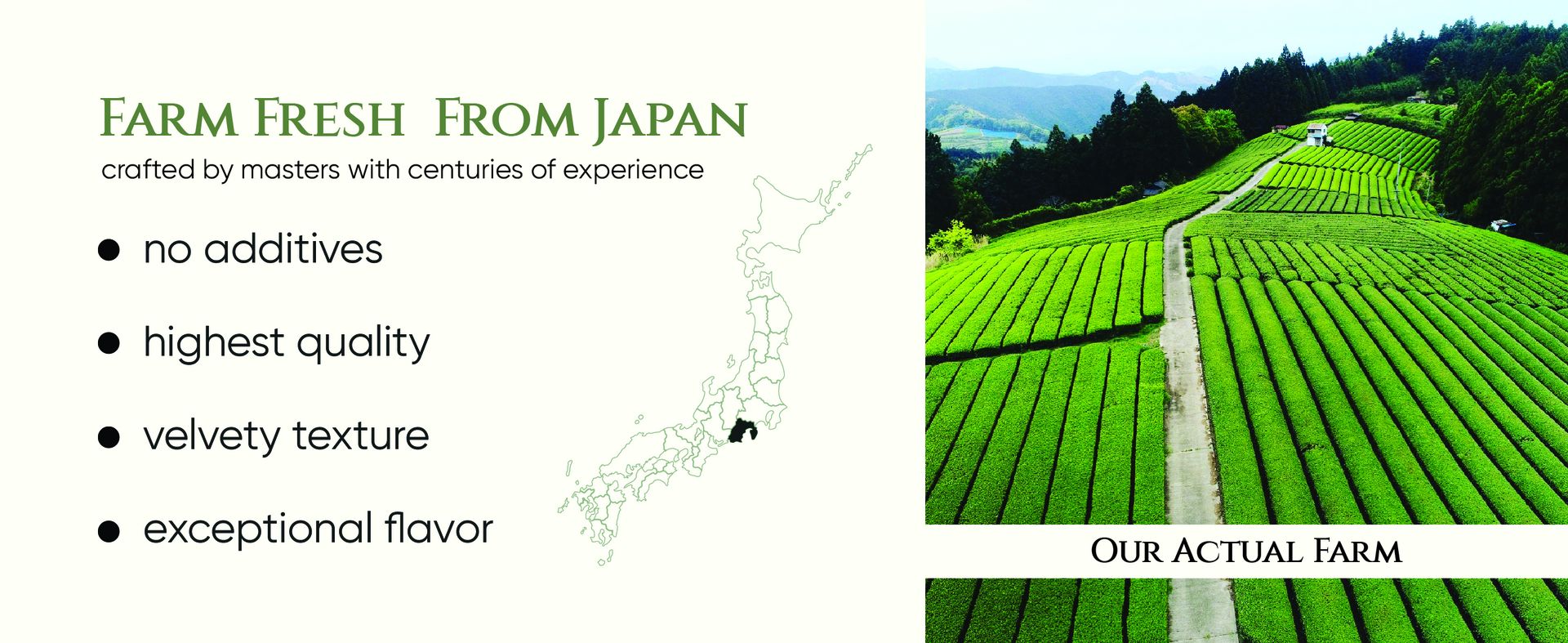 Tencha Japanese Sencha Green Tea Elite Grade Leaves from Shizuoka