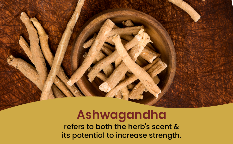 Tata 1mg Tejasya Ashwagandha Capsule 500mg, Supports Strength & Stamina, 500mg, Pack of 60 Capsules