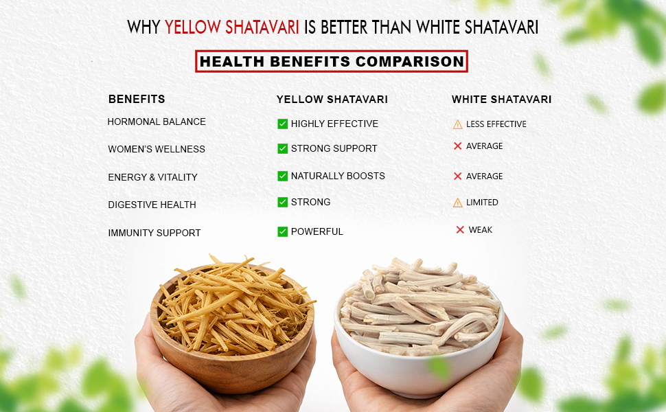 BrijBooti Shatavari Root 200 Gr Raw Indian Asparagus Racemosus Yellow Shatawar satawari Pure Yellow Root - Natural Satavar | FSSAI, GMP, ISO Certified