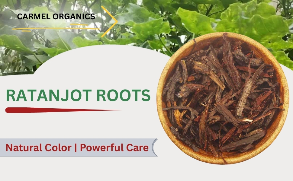 CARMEL ORGANICS Ratanjot Roots 100 Grams
