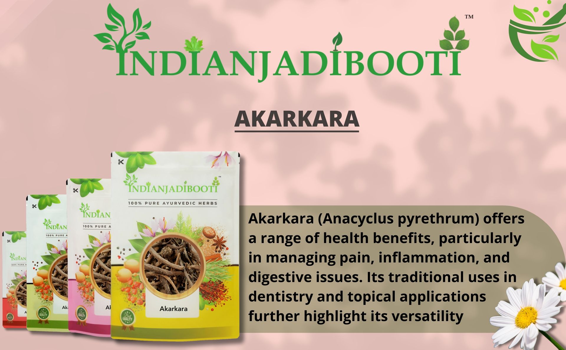 IndianJadiBooti Akarkara Roots - Whole Anacyclus Pyrethrum (Pellitory Root) - Raw Akarkara Sabut - Natural Herb for Chewing (Toothache Relief), Oral Care & Vitality - Dried & Cleaned (100g)