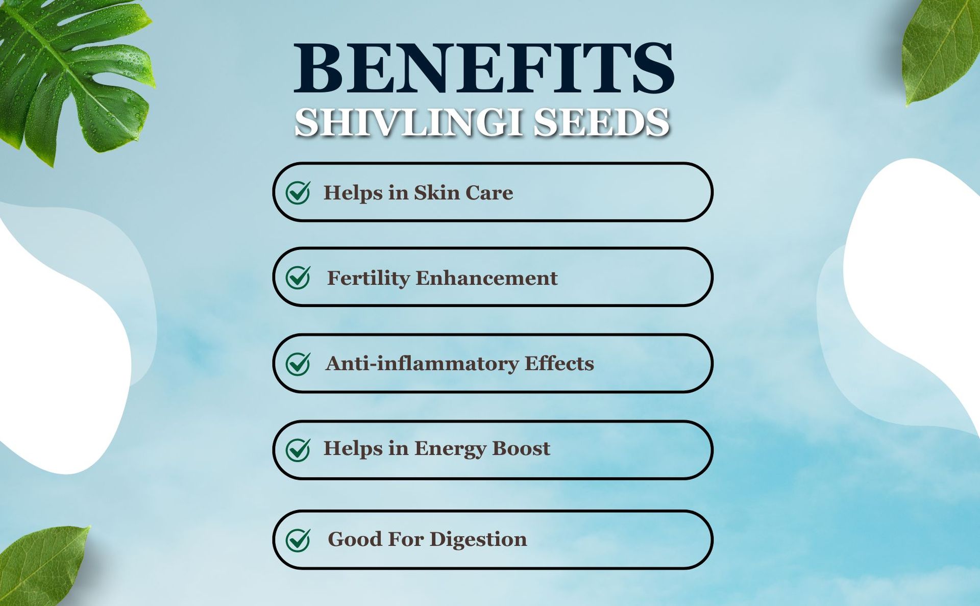 Brijbooti Shivlingi Beej 50 Gr | Shivlangi | Shivling | Sivalingi Seed | Bryonia laciniosa