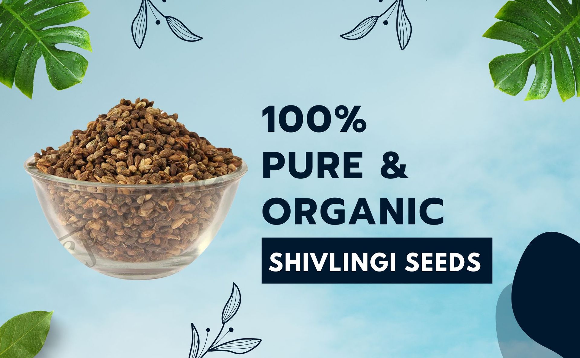Brijbooti Shivlingi Beej 50 Gr | Shivlangi | Shivling | Sivalingi Seed | Bryonia laciniosa