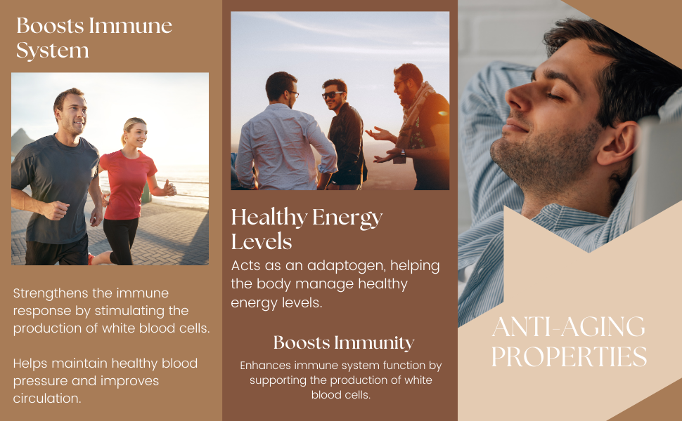 Biotrex Nutraceuticals Astragalus 500mg Supplement | Heart & Kidney Health | Immunity Booster & Adaptogen | Antioxidant | Enhances Strength & Atheletic Performance | 60 Veg Capsules. (Pack of 2)